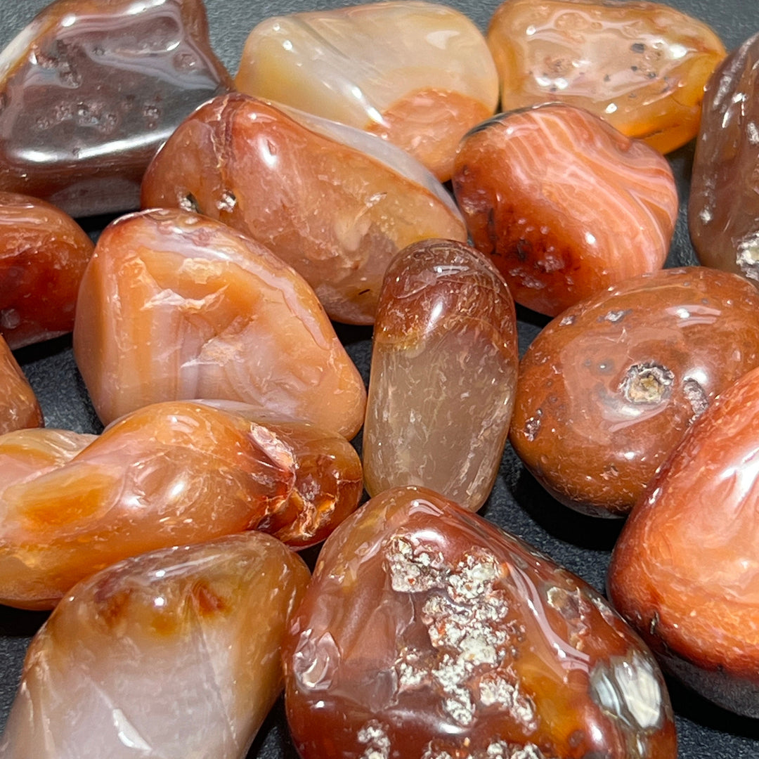Carnelian Red Agate Large Tumbled (1 LB) One Pound Bulk Wholesale Lot Polished Natural Gemstones Healing Crystals And Stones