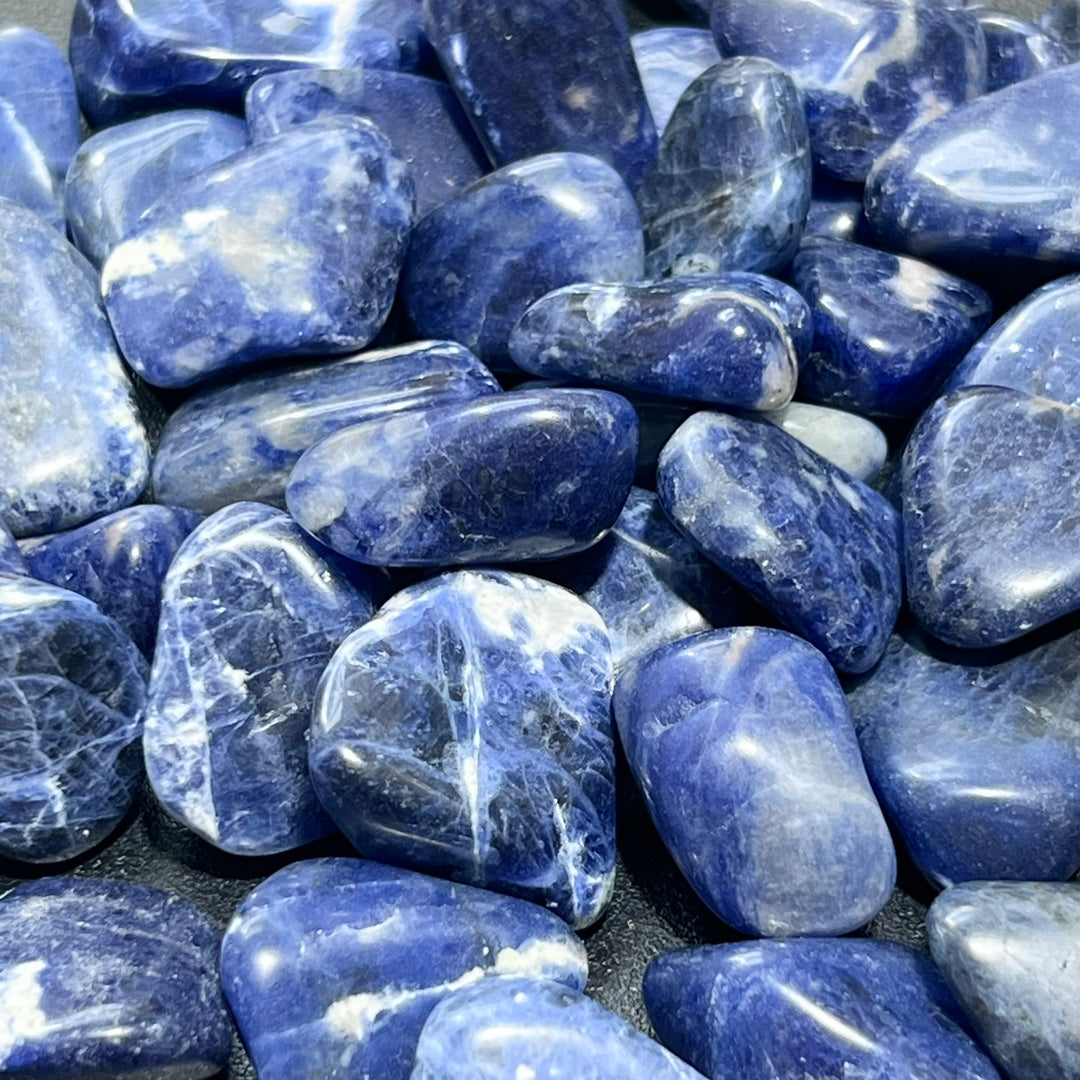 Blue Sodalite Tumbled (1/2 lb) 8 oz Bulk Wholesale Lot Half Pound Polished Natural Gemstones Healing Crystals And Stones