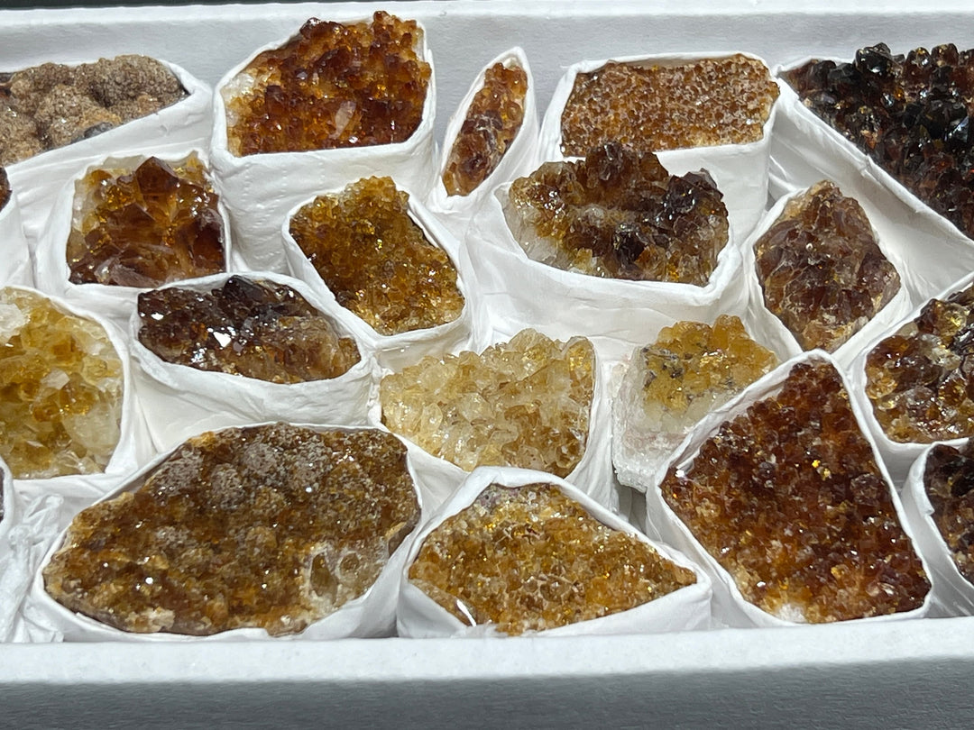 Citrine Druzy Crystal Cluster Wholesale Box Flat