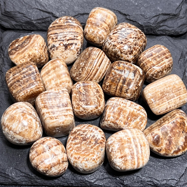 Banded Aragonite Tumbled Stones (By The Piece Or Pound)