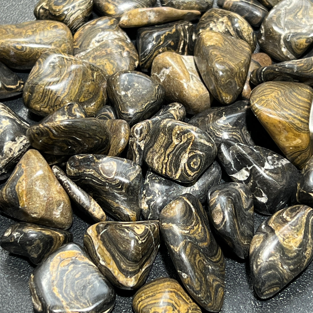 Tumbled Stromatolite Fossil Stone (1/2 lb) 8 oz Bulk Wholesale Lot Half Pound Natural Gemstones Crystals