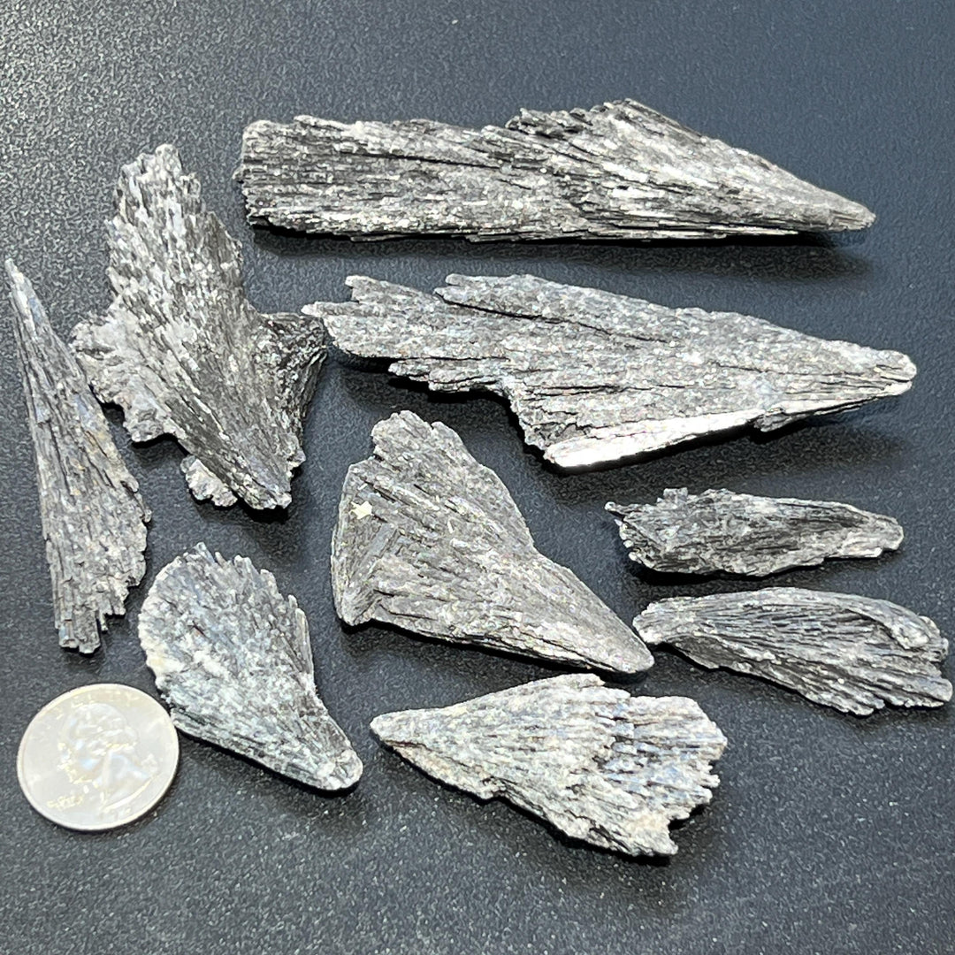 Black Kyanite Crystal Rough Raw Fans (By The Piece or Pound)