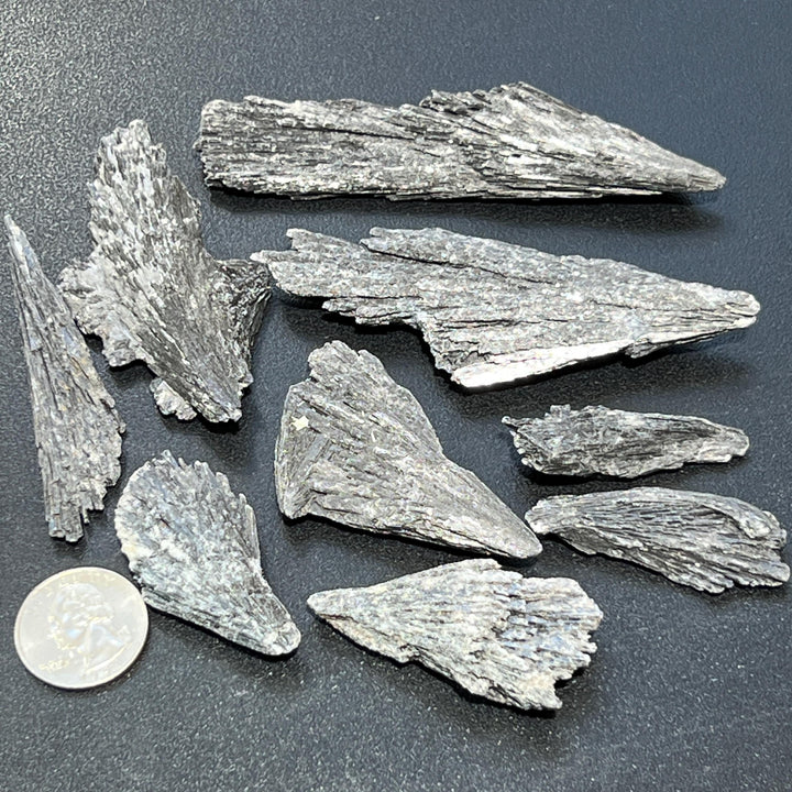 Black Kyanite Crystal Rough Raw Fans (By The Piece or Pound)
