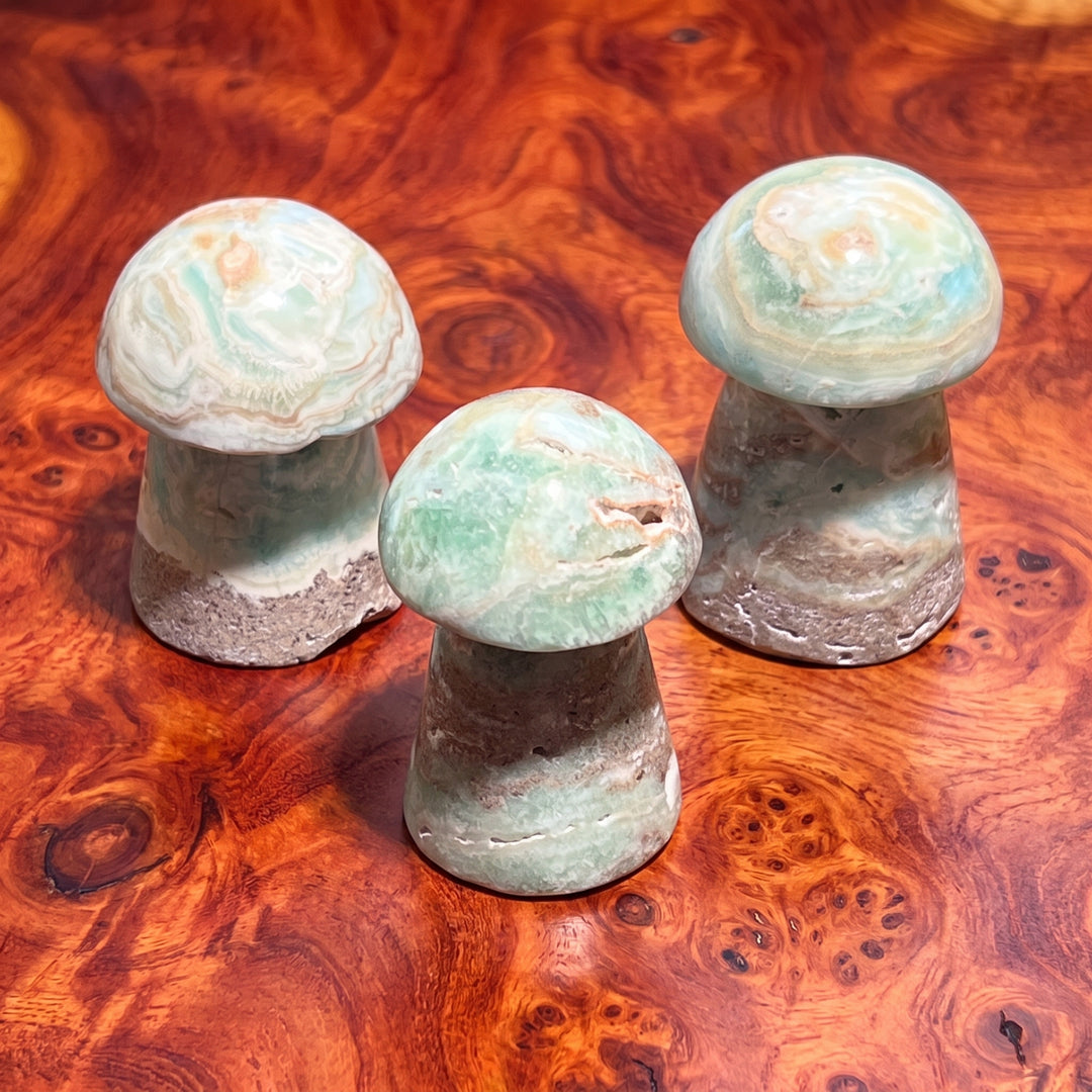 Caribbean Calcite Mushroom Carving
