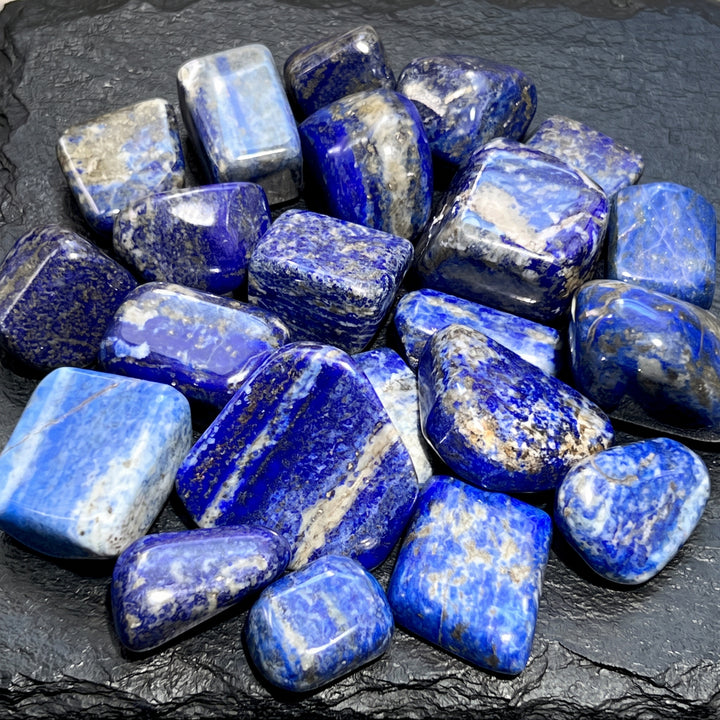Lapis Lazuli Tumbled Stones (By The Piece or Pound)(UV Reactive)