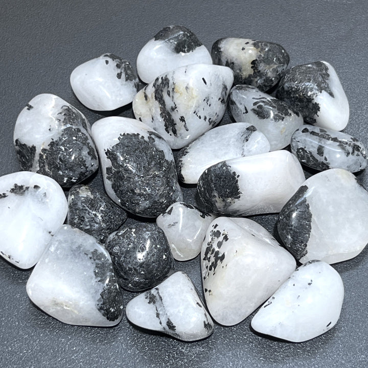 Quartz with Tourmaline Tumbled (1 Kilo)(2.2 LBs) Bulk Wholesale Lot Polished Natural Gemstones