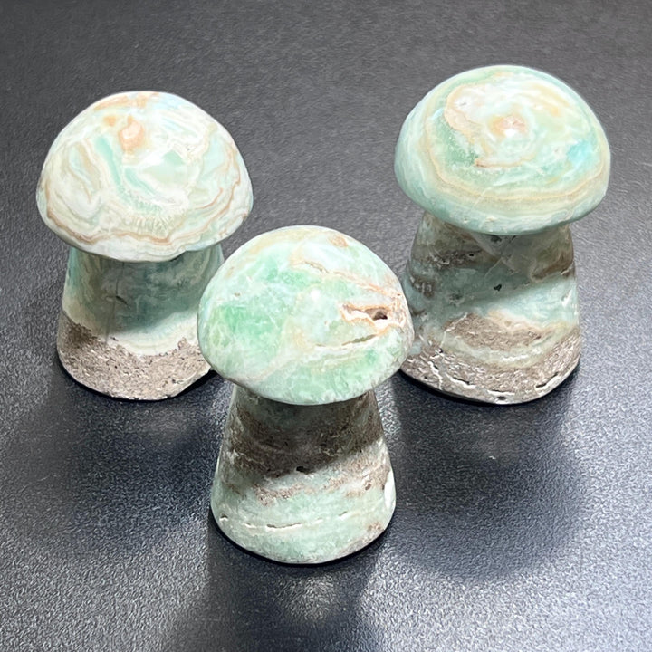 Caribbean Calcite Mushroom Carving