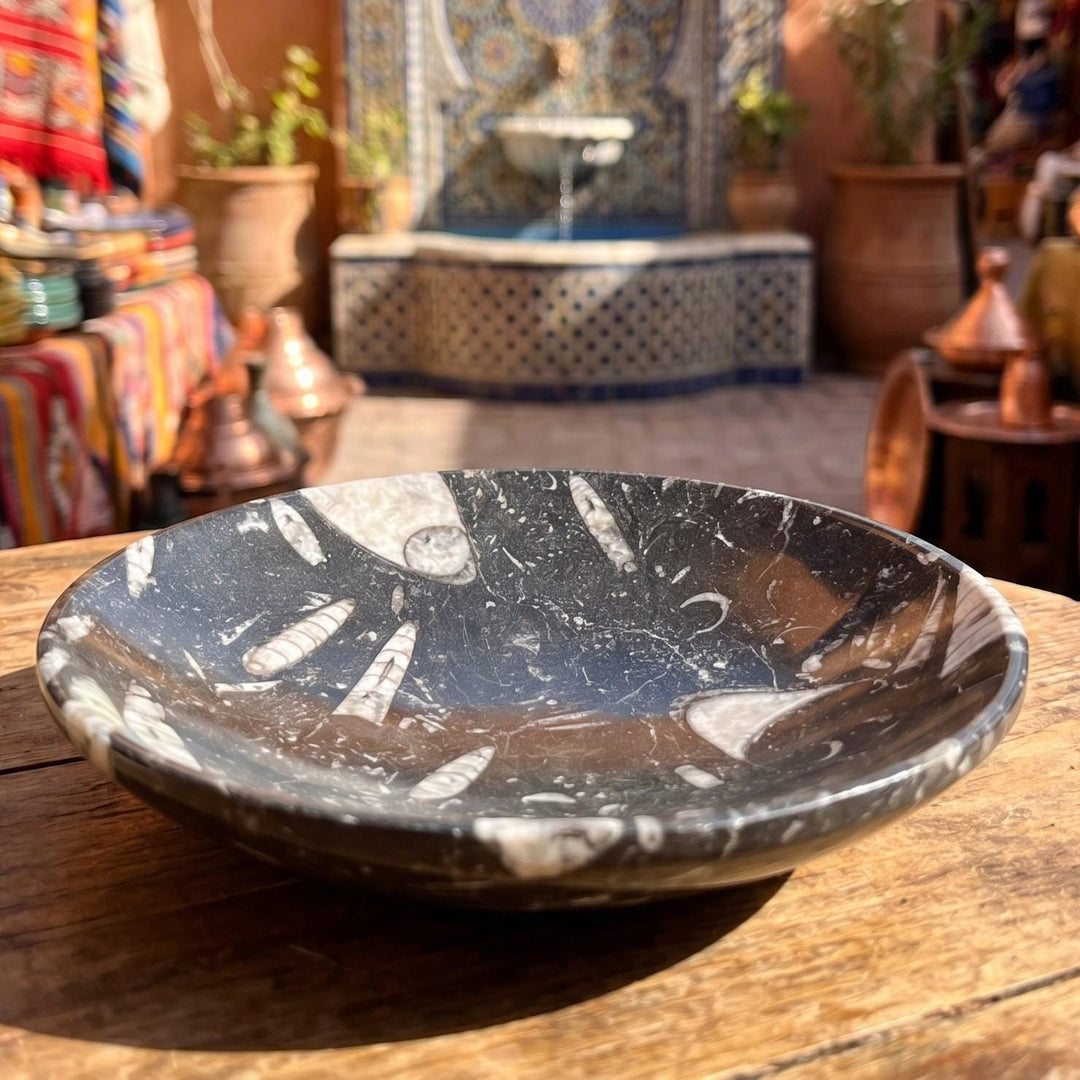 Orthoceras Fossil Stone Bowl Dish Carving (6 Inches)