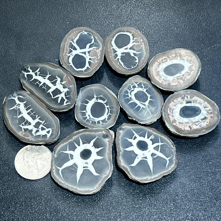 Small Septarian Nodule Matching Pairs Slices Cabochon Carving
