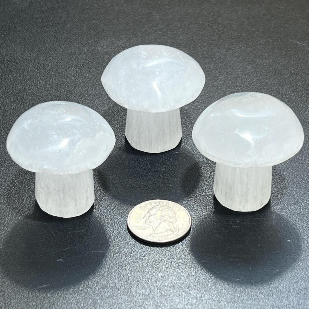 Selenite Satin Spar Mushroom Crystal Carving