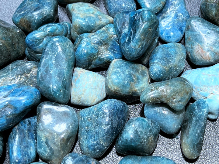 Tumbled Blue Apatite (3 Pcs) Polished Crystal Gemstones Rocks Natural Healing Crystals And Stones