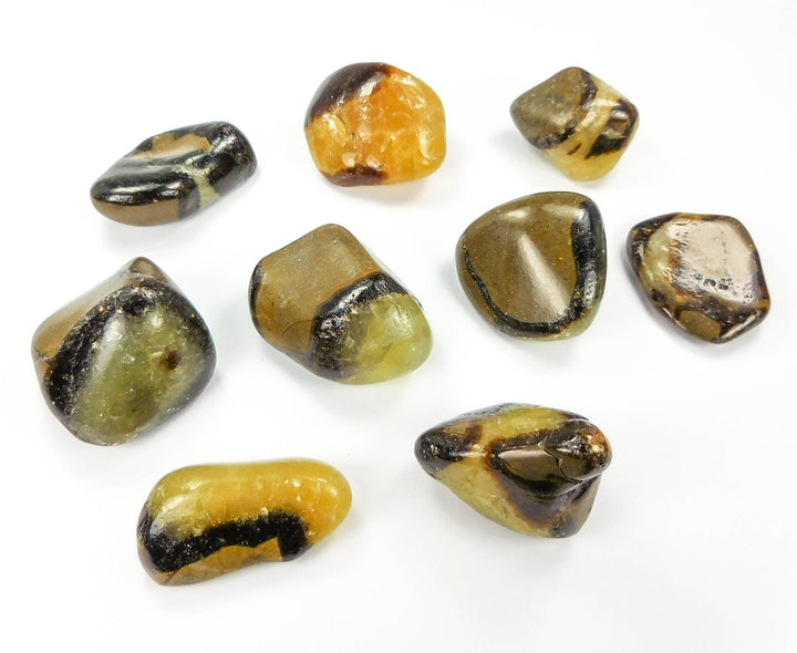 Septarian Nodule Tumbled (UV Reactive)(1/2 lb)(8 oz) Bulk Wholesale Lot Half Pound Polished Natural Gemstones