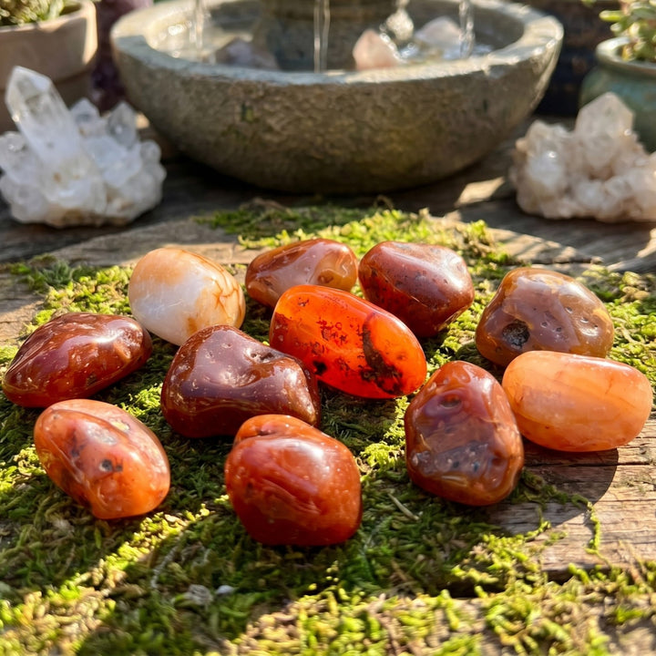 Large Carnelian Red Agate Crystal Tumbled Stones (By The Piece or Pound)