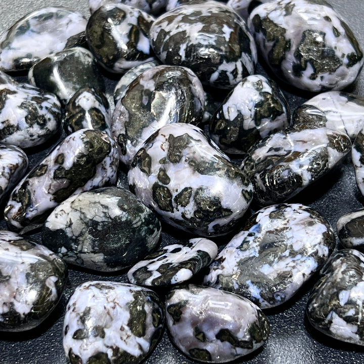 Indigo Gabbro Tumbled (1 LB) One Pound Bulk Wholesale Lot Polished Natural Gemstones Healing Crystals And Stones