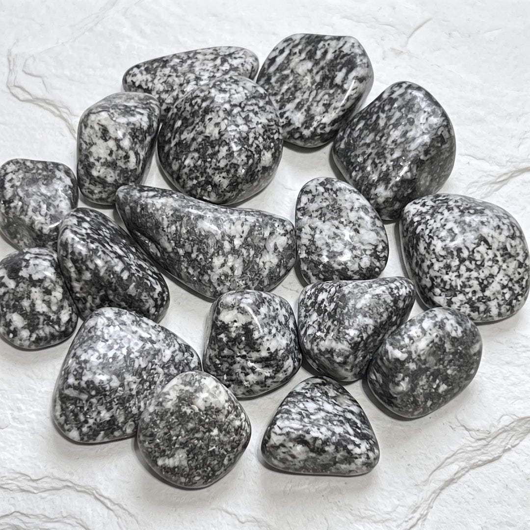 Salt and Pepper Diorite Tumbled Stones (By The Piece or Pound) Genuine Mineral Healing Crystals and Stones