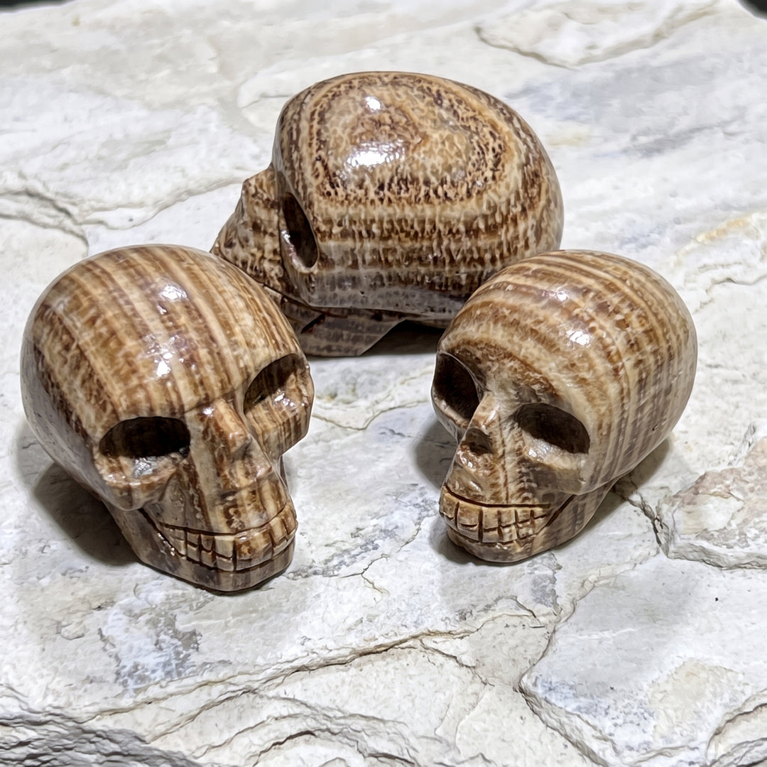 Peruvian Brown Banded Aragonite Skull Carving