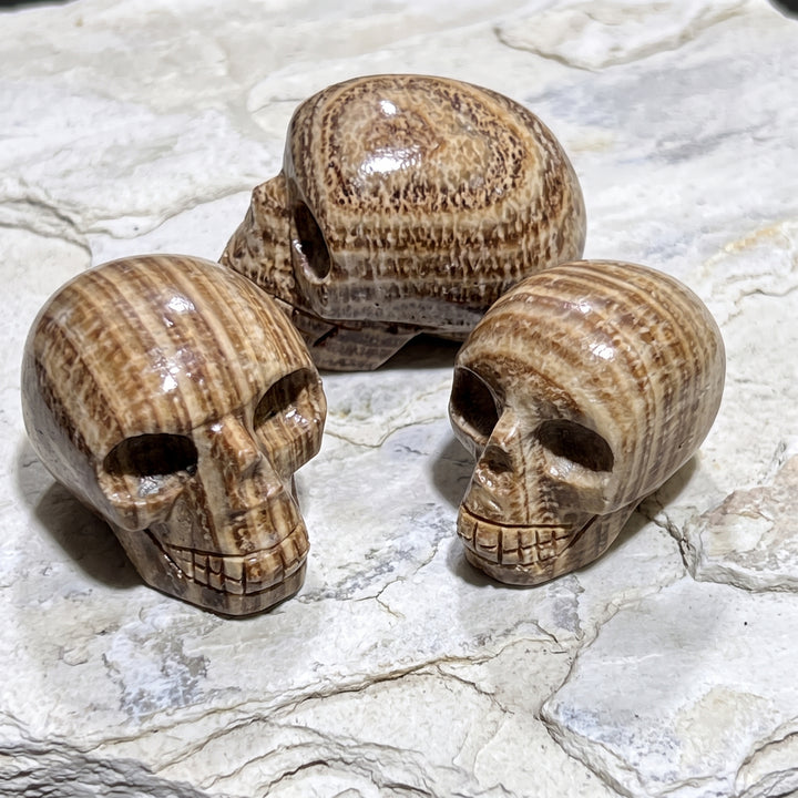Peruvian Brown Banded Aragonite Skull Carving