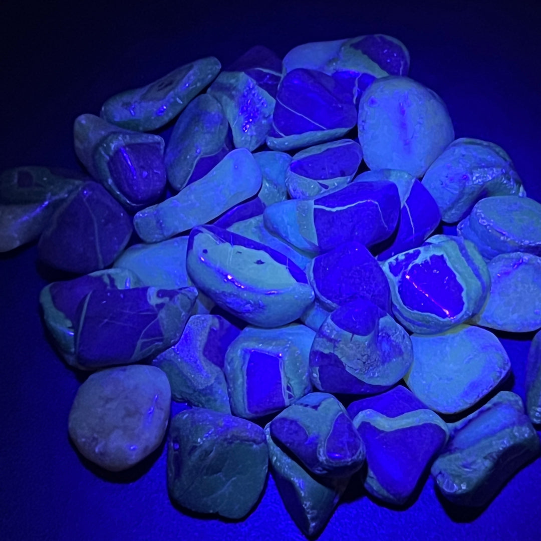 Septarian Nodule Tumbled (UV Reactive)(1/2 lb)(8 oz) Bulk Wholesale Lot Half Pound Polished Natural Gemstones