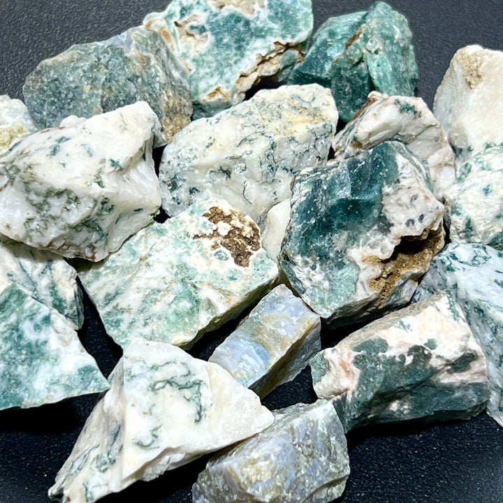 Tree Agate Rough (3 Pcs) Raw Natural Gemstones Healing Crystals And Stones