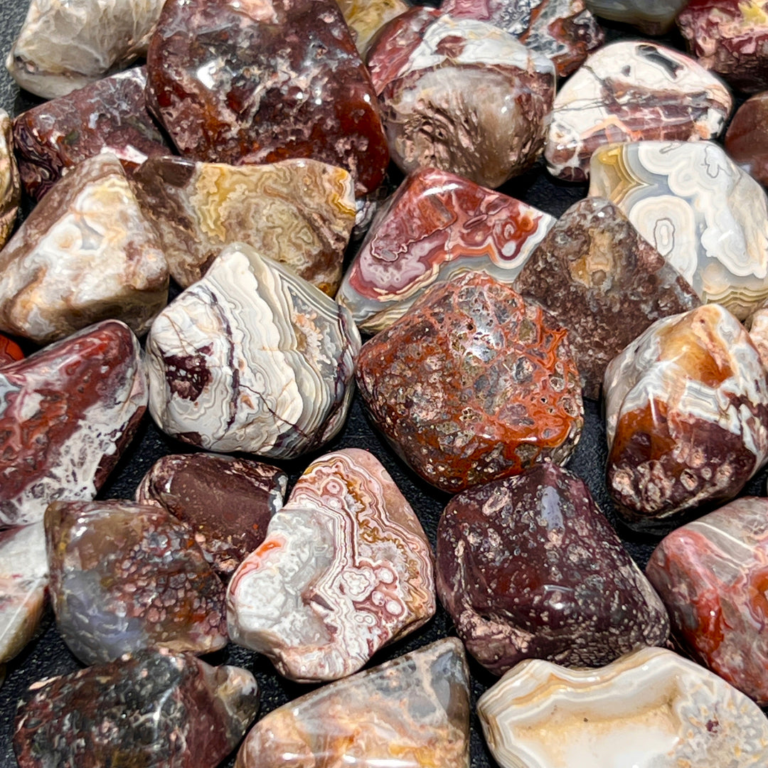 Crazy Lace Agate Tumbled (1/2 lb) 8 oz Bulk Wholesale Lot Half Pound Polished Natural Gemstones Healing Crystals And Stones