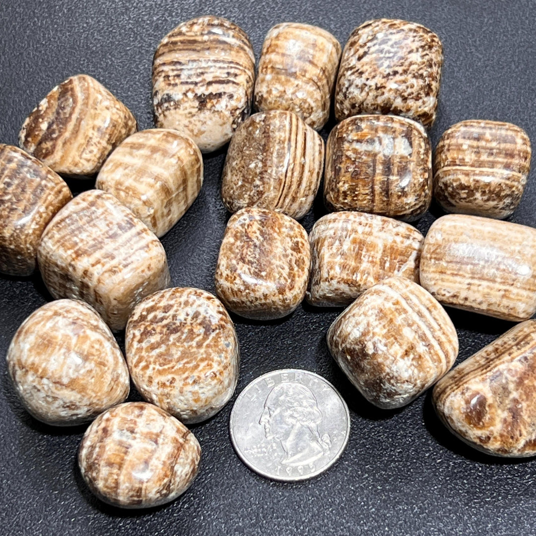 Banded Aragonite Tumbled Stones (By The Piece Or Pound)