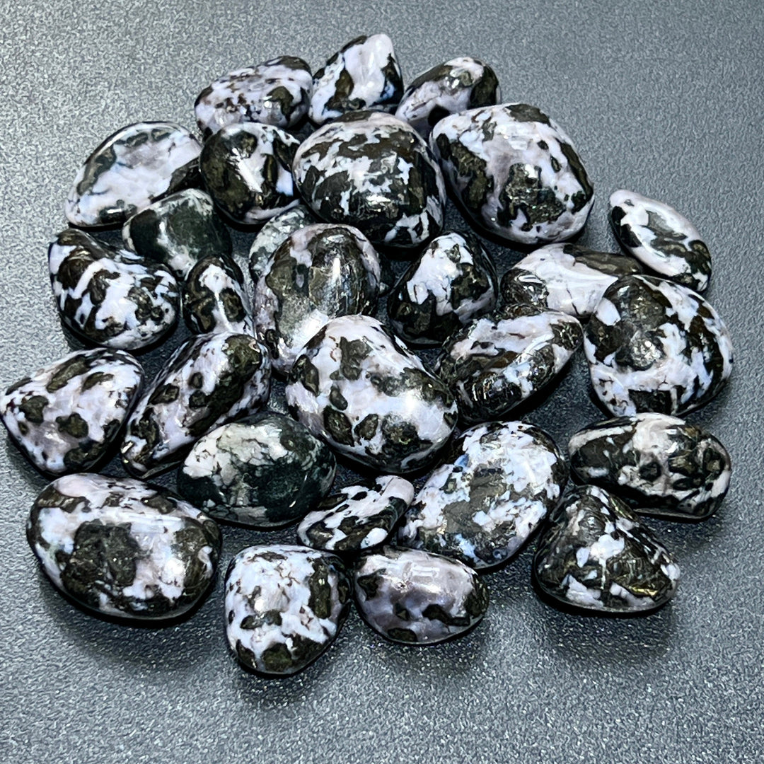 Indigo Gabbro Tumbled (1 LB) One Pound Bulk Wholesale Lot Polished Natural Gemstones Healing Crystals And Stones