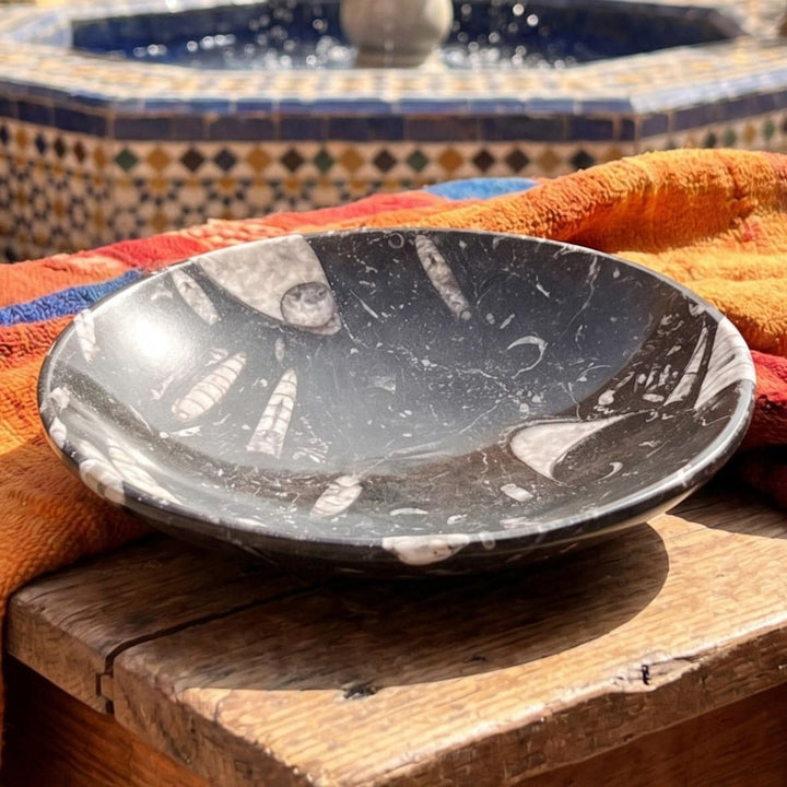 Orthoceras Fossil Stone Bowl Dish Carving (6 Inches)