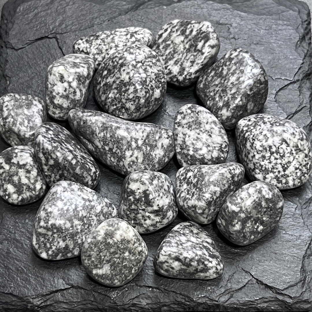 Salt and Pepper Diorite Tumbled Stones (By The Piece or Pound) Genuine Mineral Healing Crystals and Stones