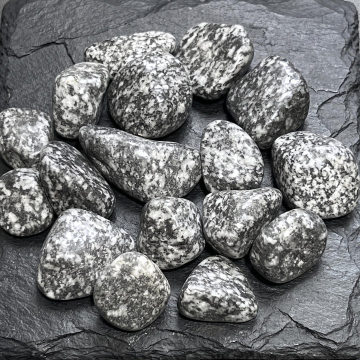 Salt and Pepper Diorite Tumbled Stones (By The Piece or Pound) Genuine Mineral Healing Crystals and Stones