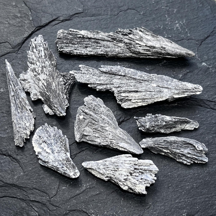 Black Kyanite Crystal Rough Raw Fans (By The Piece or Pound)