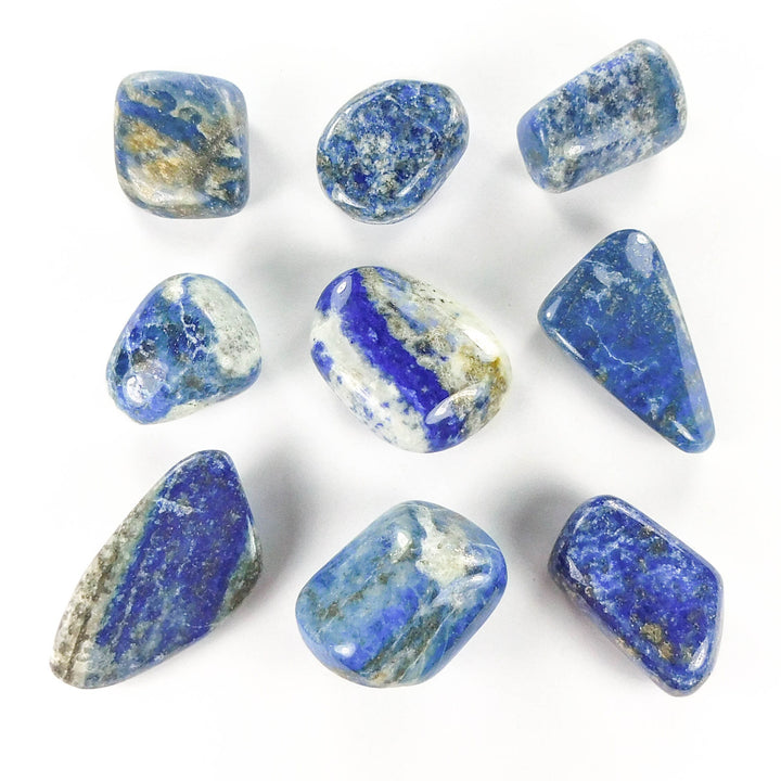 Lapis Lazuli (1/2 lb) 8 oz Bulk Wholesale Lot Half Pound Tumbled Polished Stones Natural Gemstones Crystals