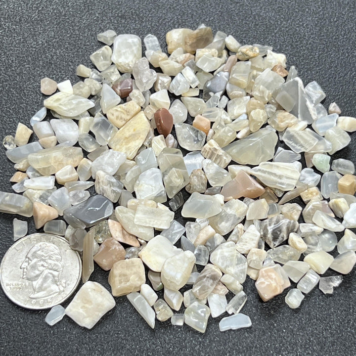 Small Mixed Moonstone Crystal Tumbled Stones (By The Ounce or Pound)