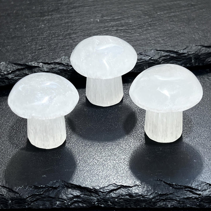 Selenite Satin Spar Mushroom Crystal Carving