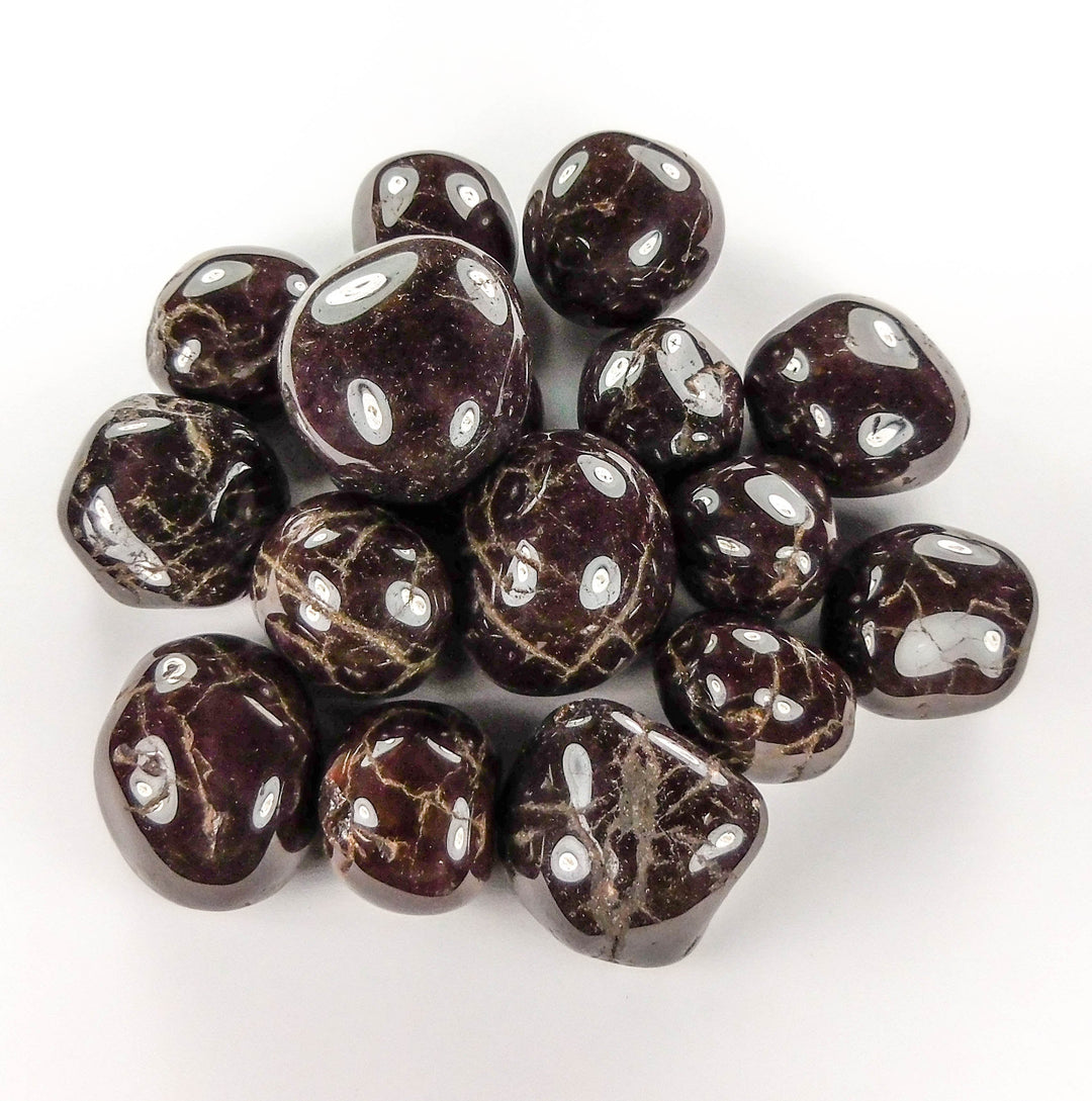 Bulk Wholesale Lot 1 LB Tumbled Cherry Garnet Polished Stones Natural Gemstones Crystals