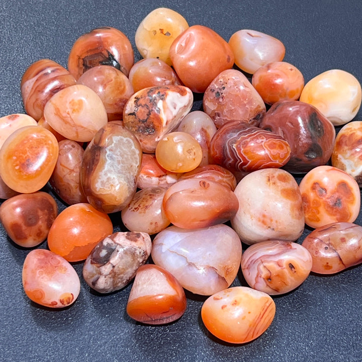 Carnelian Red Agate Tumbled (1/2 lb) 8 oz Bulk Wholesale Lot Half Pound Polished Natural Gemstones Healing Crystals And Stones