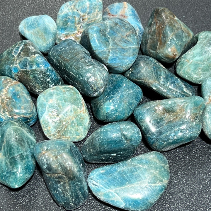 Apatite Mixed Quality Tumbled (By The Piece Or Pound) Gemstone Decor Wholesale Bulk Supply