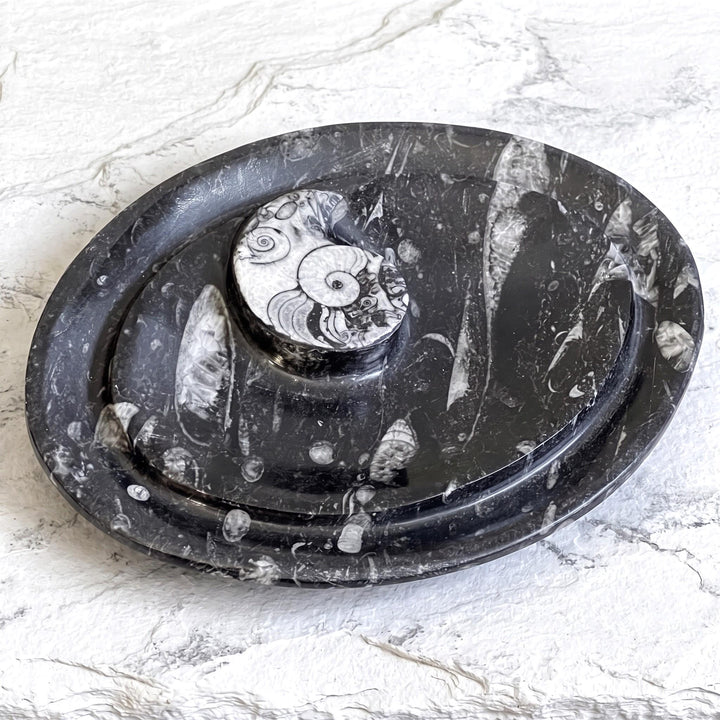 Orthoceras And Ammonite Fossil Stone Change Dish Carving (8 inches)