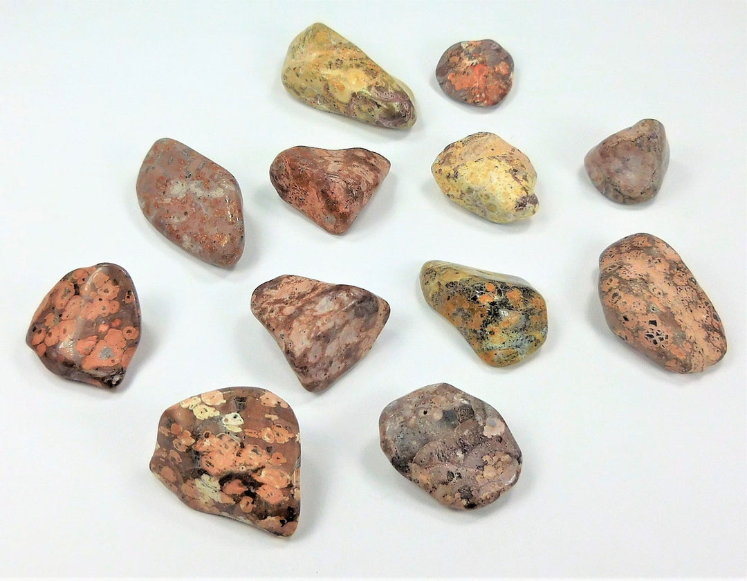 Tumbled Leopard Skin Jasper (1/2 lb) 8 oz Bulk Wholesale Lot Half Pound Polished Stones Natural Gemstones Crystals
