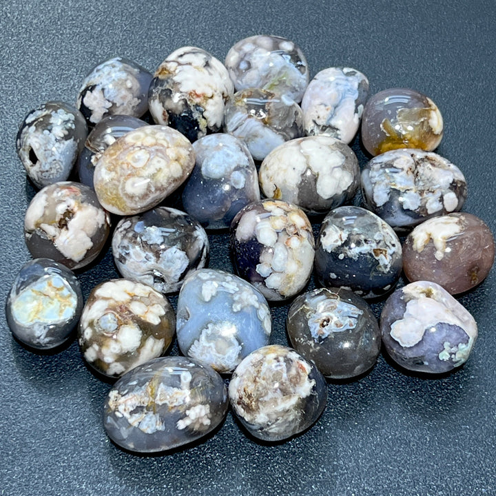 Flower Agate Black / Gray Tumbled (1 LB) One Pound Bulk Wholesale Lot Polished Natural Gemstones