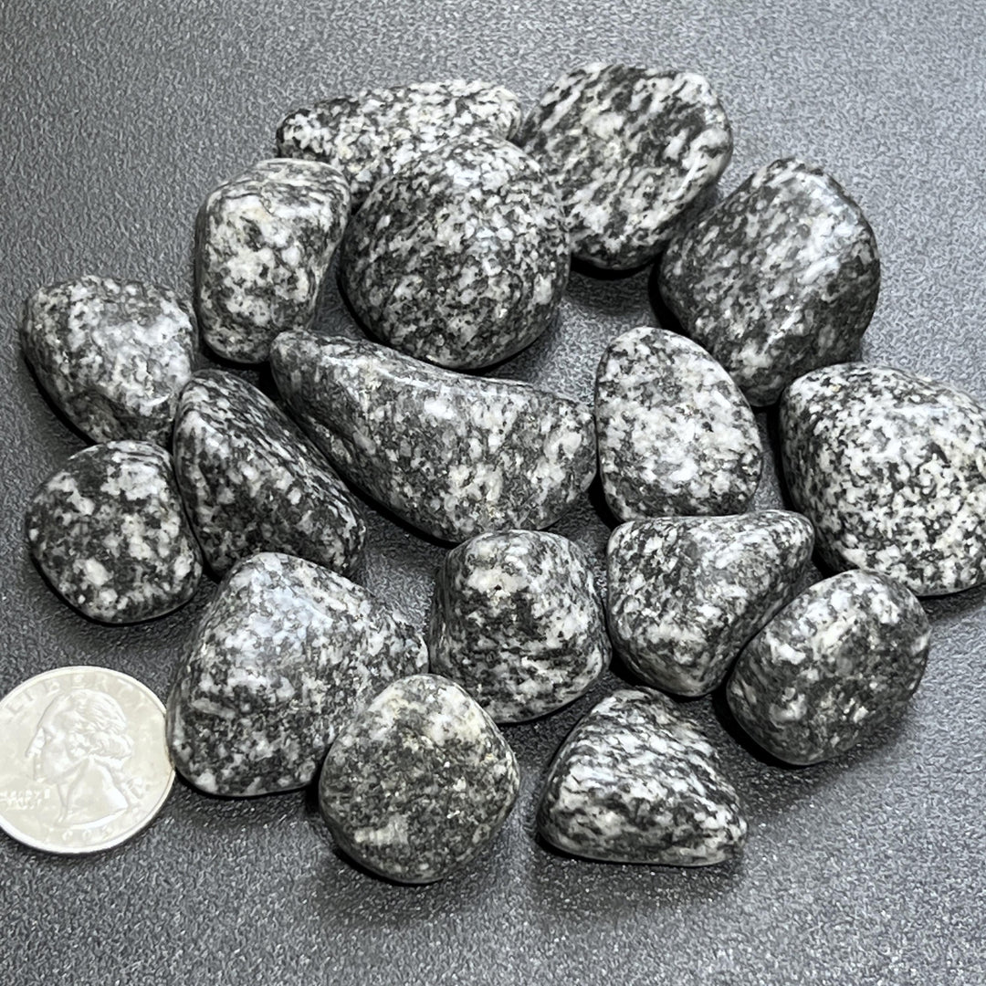 Salt and Pepper Diorite Tumbled Stones (By The Piece or Pound) Genuine Mineral Healing Crystals and Stones