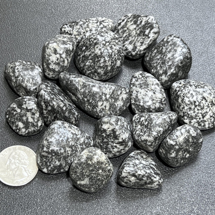 Salt and Pepper Diorite Tumbled Stones (By The Piece or Pound) Genuine Mineral Healing Crystals and Stones