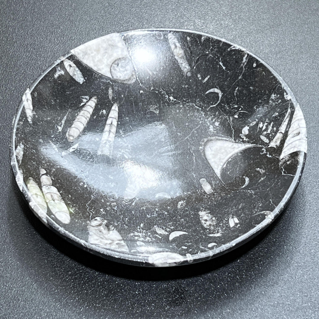 Orthoceras Fossil Stone Bowl Dish Carving (6 Inches)