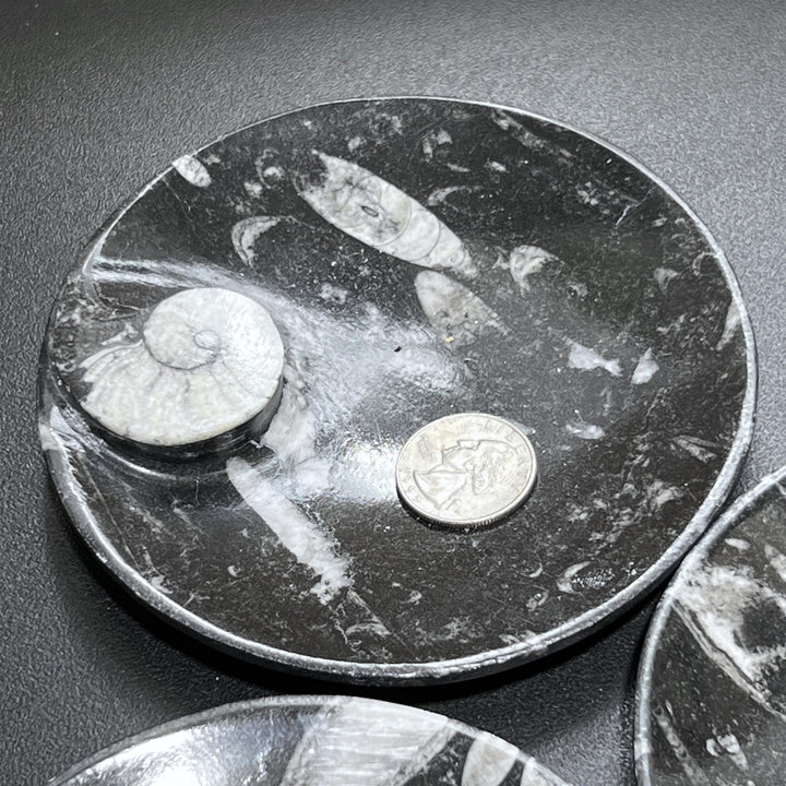 Orthoceras And Ammonite Fossil Stone Bowl Dish Carving (4.5 Inches)