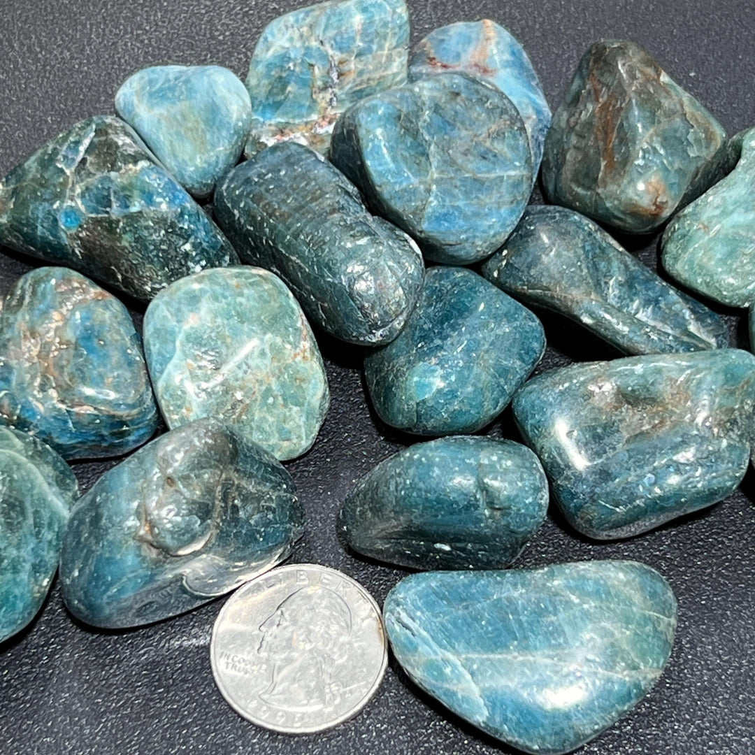 Apatite Mixed Quality Tumbled (By The Piece Or Pound) Gemstone Decor Wholesale Bulk Supply