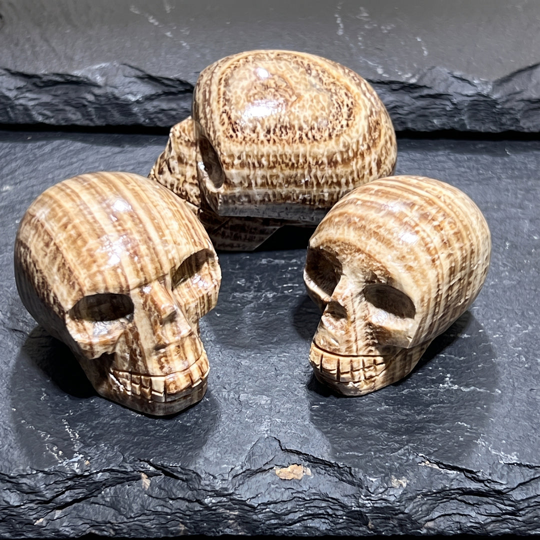 Peruvian Brown Banded Aragonite Skull Carving