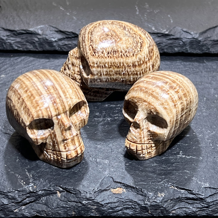 Peruvian Brown Banded Aragonite Skull Carving