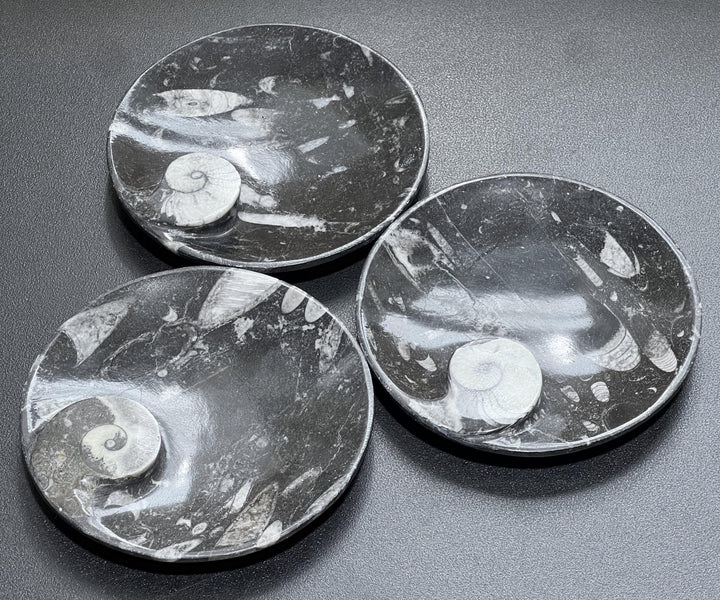 Orthoceras And Ammonite Fossil Stone Bowl Dish Carving (4.5 Inches)