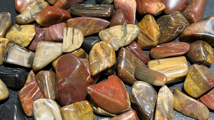 Bulk Wholesale Lot 1 LB Tumbled Petrified Wood One Pound Polished Stones Natural Gemstones Healing Crystals And Stones