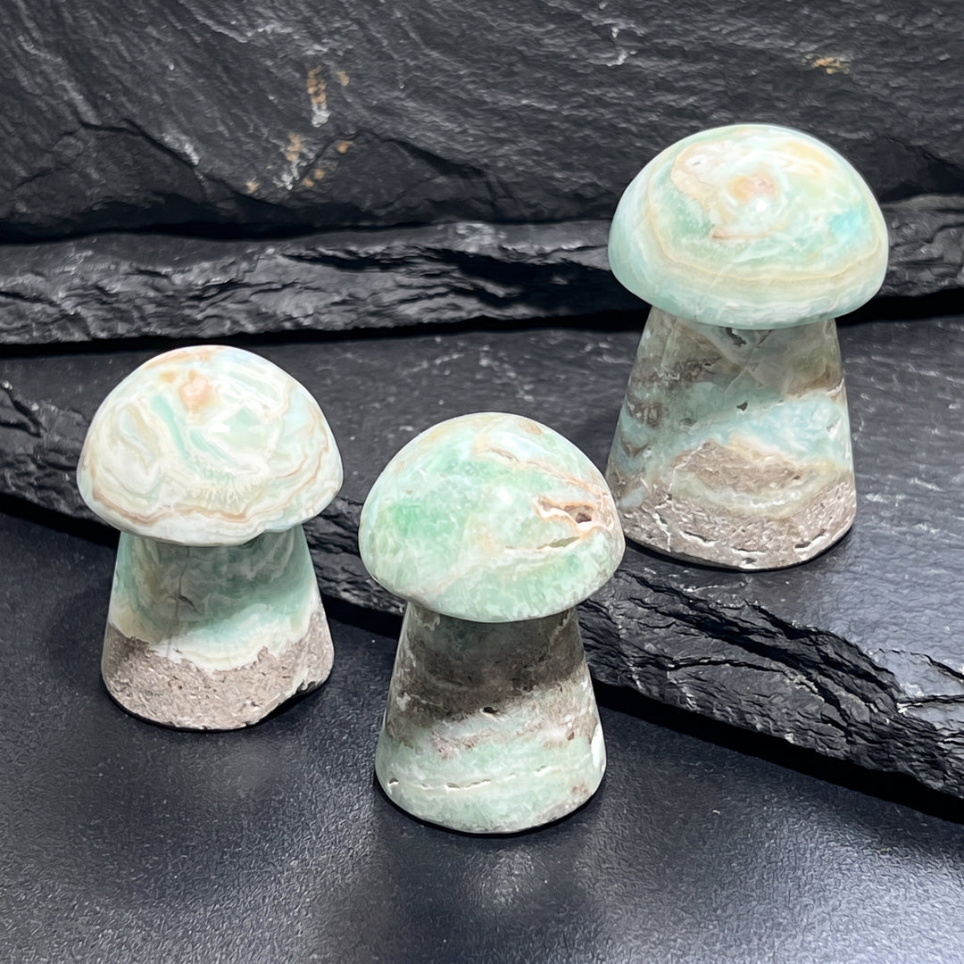Caribbean Calcite Mushroom Carving