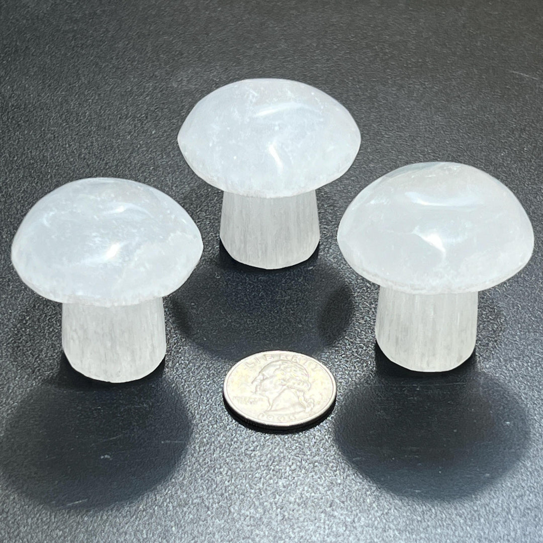 Clearance Sale Selenite Satin Spar Mushroom Crystal Carving